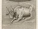 Jigsaw of ASTROLOGY/ZODIAC from Mary Evans