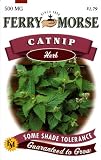 Ferry-Morse Herb Seeds 1258 Catnip 500 Milligram Packet