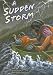 A Sudden Storm (Power Up Extension)