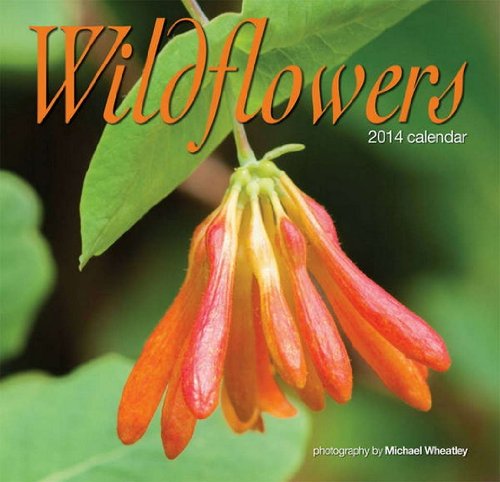 Wildflowers 2014 Mini Calendar