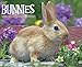 Just Bunnies 2015 Wall Calendar