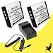 Two Halcyon 1400 mAH Lithium Ion Replacement Battery and Charger Kit for Pentax Q, Q10, Optio A36, Optio S10, Optio S12 Digital Cameras