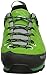Salewa Men's Mountain Trainer GTX Hiking Shoe