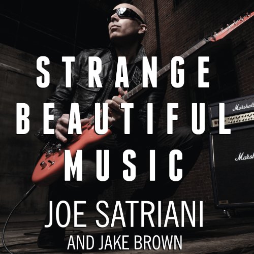 Strange Beautiful Music: A Musical Memoir