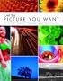 Get the Picture You Want: Essential Digital Photography Techniques