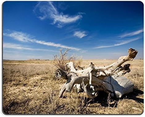 General Natural Rubber Gaming Mousepad blue sky and dry tunk of the tree