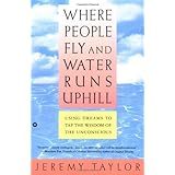 where people fly and water runs uphill using dreams to tap the wisdom of the unconscious