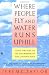 Where People Fly and Water Runs Uphill: Using Dreams to Tap the Wisdom of the Unconscious