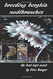 Breeding Berghia Nudibranches the best kept secret