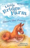 Oscar's New Friends (Little Bridge Farm) (Little Bridge Farm)