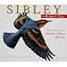 Sibley: The Birder's Year 2010 Daily Boxed Calendar (Calendar)