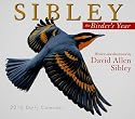 Sibley: The Birder's Year 2010 Daily Boxed Calendar (Calendar)