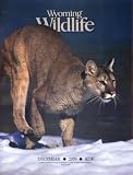 Wyoming Wildlife
