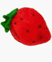 Enchantacat T51 Strawberry Catnip Toy