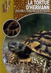 Tortue d'Hermann