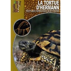 Tortue d'Hermann