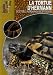 Tortue d'Hermann Tortue d'Hermann