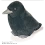 American Crow - Audubon Plush Bird (Authentic Bird Sound)