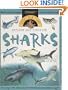Question Time: Sharks (Question Time)