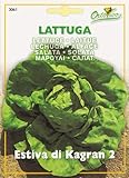 【HORTUS社種子】【Art.3061】レタス・カグラン