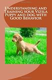 Understanding and Training your Vizsla Puppy and dog with Good Behavior