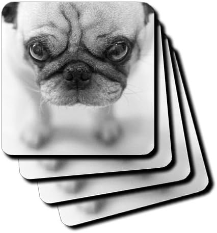 TNMGraphics Pug Ceramic Tile Coaster, Set of 4