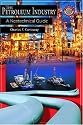 The Petroleum Industry: A Nontechnical Guide