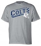 Indianapolis Colts Grey The Call Is Tails T-Shirt