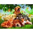 Sleepy heads 1000pc Jigsaw Puzzle by Thomas Wood