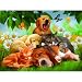Sleepy heads 1000pc Jigsaw Puzzle by Thomas Wood