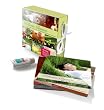Wellness Classics/Various