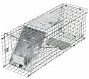 Havahart 1088 Collapsible One Door Cage Trap for Rabbits, Skunks and Large Squirrels 24 x 7 x 7