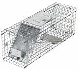 Havahart 1088 Collapsible One Door Cage Trap for Rabbits, Skunks and Large Squirrels 24 x 7 x 7