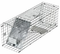 Havahart 1088 Collapsible One Door Cage Trap for Rabbits, Skunks and Large Squirrels 24 x 7 x 7