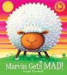 Marvin Gets Mad (Bloomsbury Paperbacks)