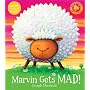 Marvin Gets Mad (Bloomsbury Paperbacks)