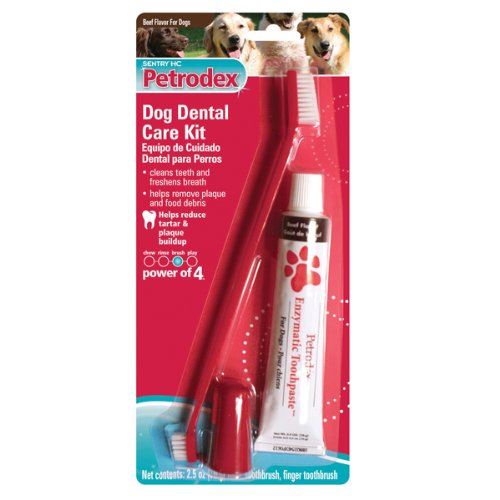 Petrodex Dog Dental Care Kit, Beef Toothpaste, 2 Toothbrushes