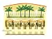 Palm Trees Wooden Spice Rack..Matching Palm tree mugs & Salt N Pepper Shakers also available!