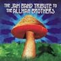 Jam Band Tribute to the Allman Brothers
