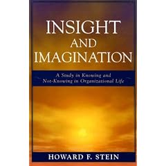 Insight and Imagination: A Study in Knowing and Not-knowing in Organizational Life