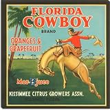 Florida Cowboy Oranges & Grapefruit Vintage Crate Label Giclee Canvas Art Print #9050 18x18 (.75 Deep)