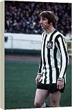 Box Canvas Print of Football - Chelsea v Newcastle United Wyn Davies from Mirror Photos