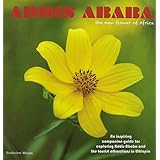 addis ababa the new flower of africa