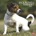 Jack Russell Terriers 2010 Wall Calendar