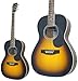 TAKAMINE Cooder CN-1/TBS