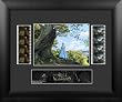 Alice in Wonderland (Series 1) Framed Double Standard Film Cell Presentation