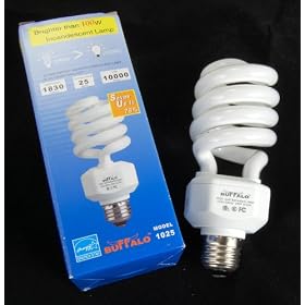 25W Energy-Star CFL Bulb - 10K Hr Life Warm White Light