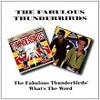 Fabulous Thunderbirds