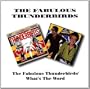 Fabulous Thunderbirds/What's the Word
