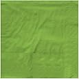 Creative Converting Touch of Color 2-Ply 50 Count Paper Beverage Napkins, Fresh Lime